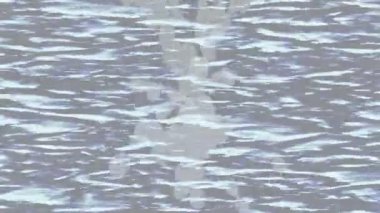 Dijital doku yüzey tasarım biçimi ile modern video animasyonu için gelişmiş hareket grafikleri