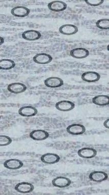 Soyut hareket desenli fütüristik video üretimi için dinamik dijital arkaplan