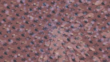 Soyut hareket desenli fütüristik video üretimi için dinamik dijital arkaplan