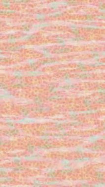 Profesyonel video projeleri sanat tarzı için organik hareketli arkaplan tasarımı