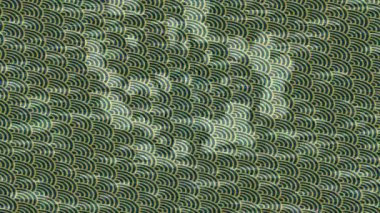 Dijital doku yüzey tasarım biçimi ile modern video animasyonu için gelişmiş hareket grafikleri