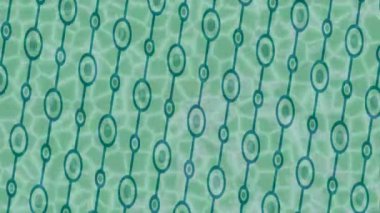 Lüks hareket projeleri için soyut tasarım stili animasyonu olan üst düzey dijital doku