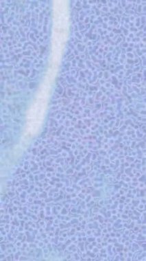 Benzersiz dijital animasyon tarzı grafikleri olan yaratıcı ortam tasarımı için yenilikçi hareket dokusu