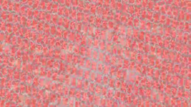 Yaratıcı video düzenleme film tasarımı için benzersiz hareket grafikleri biçimi giriş hareketi video pro