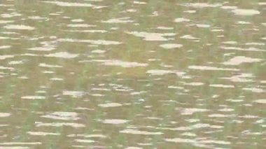 Lüks hareket tasarımı üst düzey video projeleri ve dijital sanat için zarif, pürüzsüz bir dokusu var.