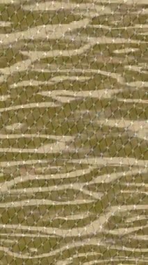 Profesyonel video projeleri sanat tarzı için organik hareketli arkaplan tasarımı