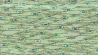 Yaratıcı video düzenleme film arkaplan tasarımı için minimalist organik hareket grafikleri