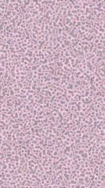 Lüks hareket tasarımı üst düzey video projeleri ve dijital sanat için zarif, pürüzsüz bir dokusu var.