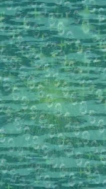 Yaratıcı video düzenleme film arkaplan tasarımı için minimalist organik hareket grafikleri