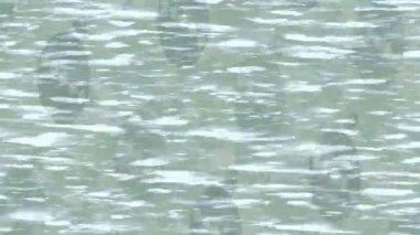 Profesyonel video projeleri sanat tarzı için organik hareketli arkaplan tasarımı