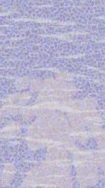 Soyut hareket desenli fütüristik video üretimi için dinamik dijital arkaplan