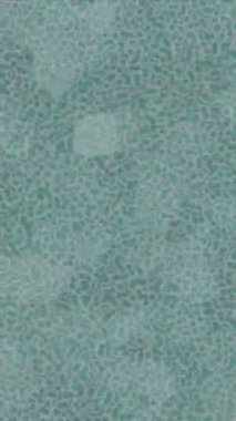 Yaratıcı video düzenleme film tasarımı için benzersiz hareket grafikleri biçimi giriş hareketi video pro