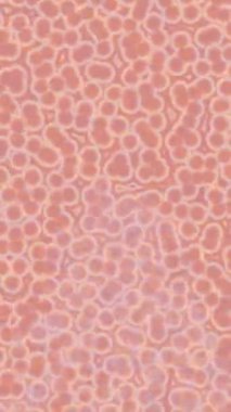 Lüks hareket projeleri için soyut tasarım stili animasyonu olan üst düzey dijital doku