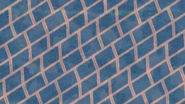 Organik desenli yüzey giriş stili video film sanatı ile soyut arkaplan tasarımı