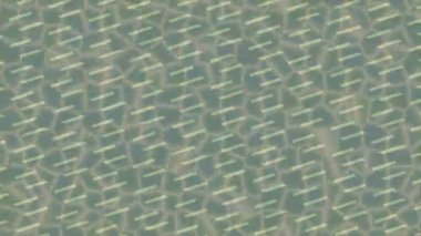 Benzersiz dijital animasyon tarzı grafikleri olan yaratıcı ortam tasarımı için yenilikçi hareket dokusu