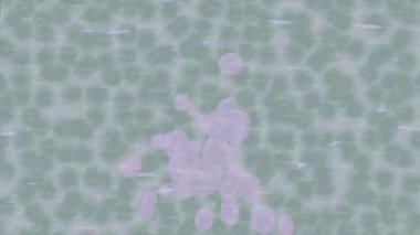 Soyut hareket desenli fütüristik video üretimi için dinamik dijital arkaplan