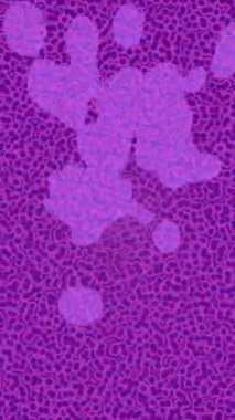 Benzersiz video giriş tasarımı projeleri için detaylı yüzey kalıbı film animasyon stili grafik girişi