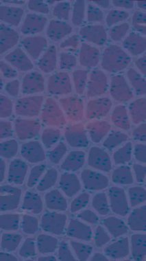 Benzersiz dijital hareket grafiklerine sahip yaratıcı sinematik projeler için yumuşak animasyon yüzeyi