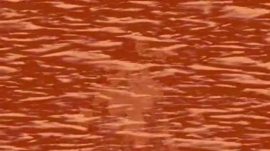 Soyut hareket desenli fütüristik video üretimi için dinamik dijital arkaplan