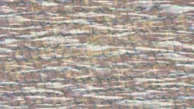 Lüks hareket tasarımı üst düzey video projeleri ve dijital sanat için zarif, pürüzsüz bir dokusu var.