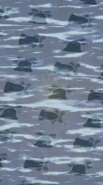 Lüks hareket projeleri için soyut tasarım stili animasyonu olan üst düzey dijital doku