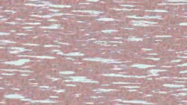 Benzersiz dijital hareket grafiklerine sahip yaratıcı sinematik projeler için yumuşak animasyon yüzeyi