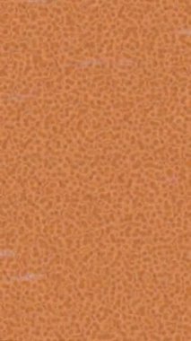 Benzersiz hareket grafikleri tasarım sanatına sahip yaratıcı film üretimi için özet bir arkaplan