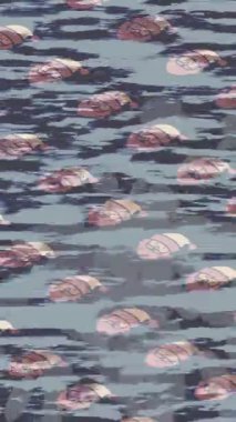 Yaratıcı video düzenleme film arkaplan tasarımı için minimalist organik hareket grafikleri