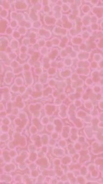 Yaratıcı video düzenleme film tasarımı için benzersiz hareket grafikleri biçimi giriş hareketi video pro