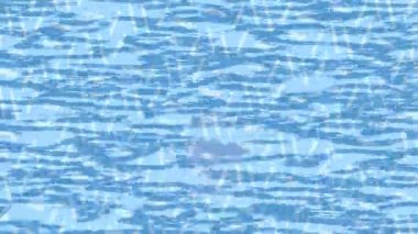 Yaratıcı video düzenleme film arkaplan tasarımı için minimalist organik hareket grafikleri