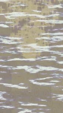 Yaratıcı video düzenleme film arkaplan tasarımı için minimalist organik hareket grafikleri