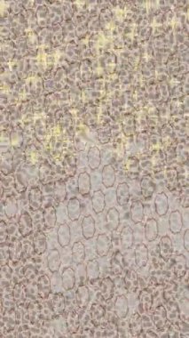 Lüks hareket projeleri için soyut tasarım stili animasyonu olan üst düzey dijital doku