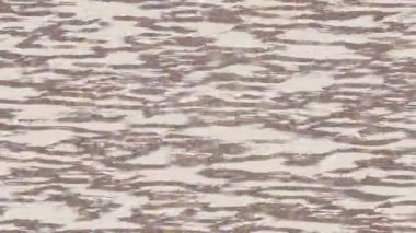 Benzersiz hareket grafikleri tasarım sanatına sahip yaratıcı film üretimi için özet bir arkaplan