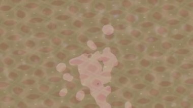 Benzersiz hareket dokusu tasarım sanatı ile profesyonel video düzenleme için modern soyut grafikler