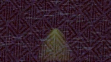 Benzersiz dijital hareket grafiklerine sahip yaratıcı sinematik projeler için yumuşak animasyon yüzeyi