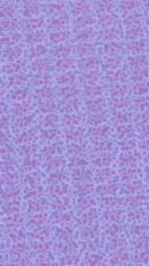 Lüks hareket tasarımı üst düzey video projeleri ve dijital sanat için zarif, pürüzsüz bir dokusu var.