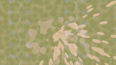 Benzersiz dijital hareket grafiklerine sahip yaratıcı sinematik projeler için yumuşak animasyon yüzeyi