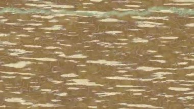 Organik desenli yüzey giriş stili video film sanatı ile soyut arkaplan tasarımı