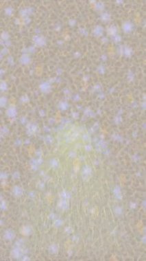 Benzersiz dijital hareket grafiklerine sahip yaratıcı sinematik projeler için yumuşak animasyon yüzeyi