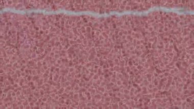 Benzersiz video giriş tasarımı projeleri için detaylı yüzey kalıbı film animasyon stili grafik girişi