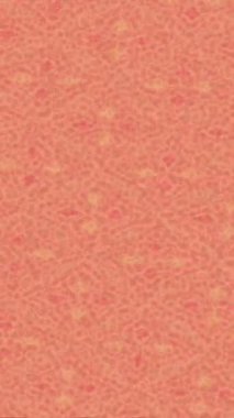 Estetik doku arkaplan tasarımı renkli hareket grafikleri ile moda film giriş profosyoneli