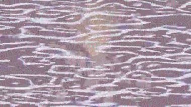 Dijital doku yüzey tasarım biçimi ile modern video animasyonu için gelişmiş hareket grafikleri