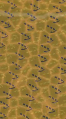 Organik desenli yüzey giriş stili video film sanatı ile soyut arkaplan tasarımı