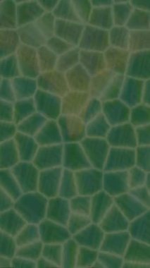 Profesyonel video projeleri sanat tarzı için organik hareketli arkaplan tasarımı