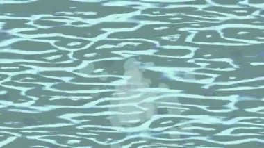 Dijital doku yüzey tasarım biçimi ile modern video animasyonu için gelişmiş hareket grafikleri