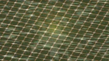 Organik desenli yüzey giriş stili video film sanatı ile soyut arkaplan tasarımı