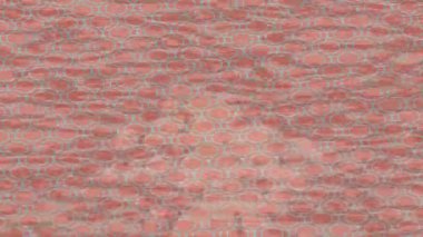 Lüks hareket projeleri için soyut tasarım stili animasyonu olan üst düzey dijital doku