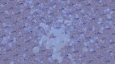 Lüks hareket projeleri için soyut tasarım stili animasyonu olan üst düzey dijital doku