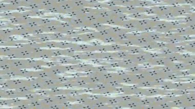 Benzersiz dijital hareket grafiklerine sahip yaratıcı sinematik projeler için yumuşak animasyon yüzeyi