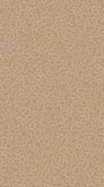 Benzersiz video giriş tasarımı projeleri için detaylı yüzey kalıbı film animasyon stili grafik girişi